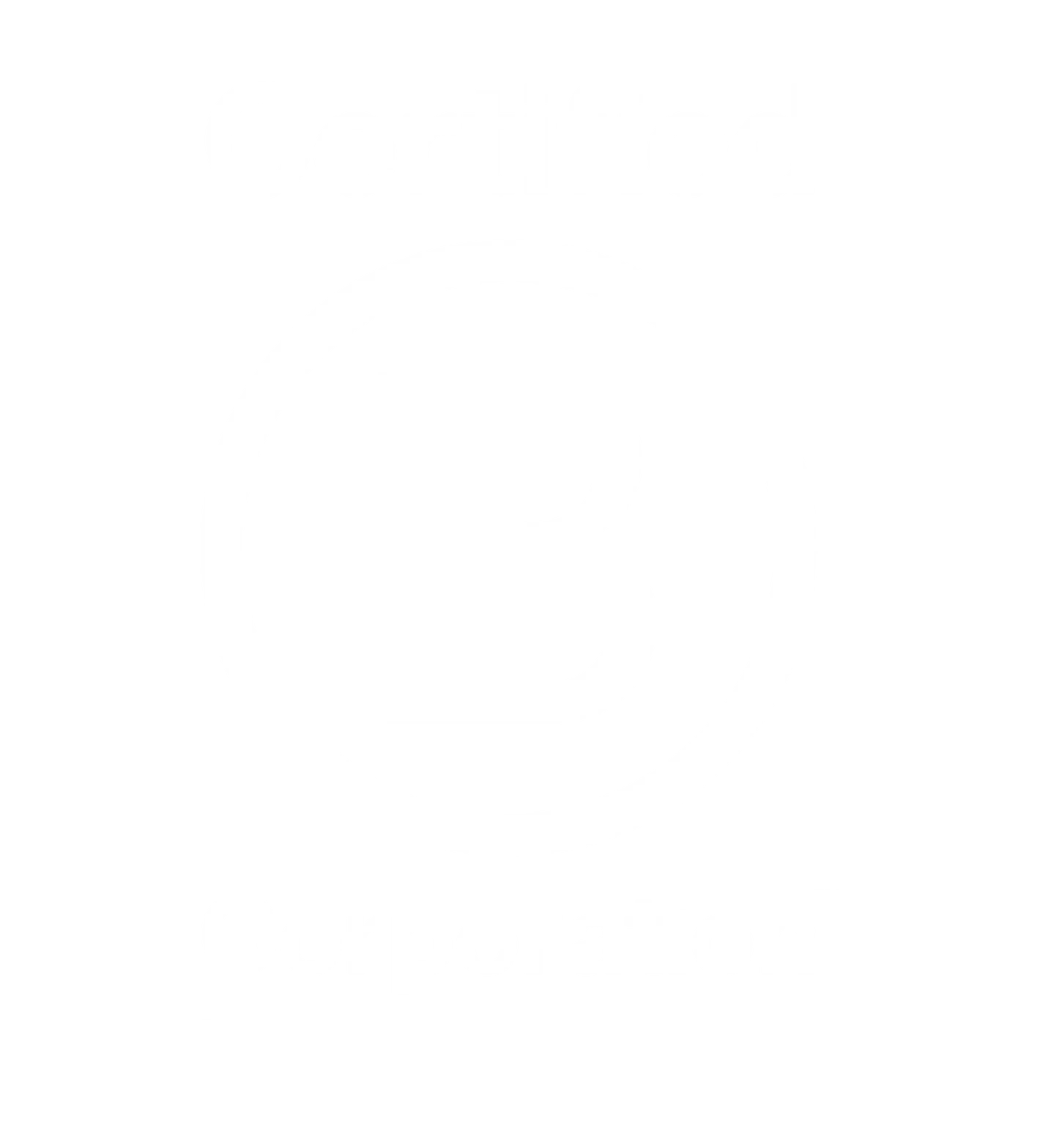 b corp logo